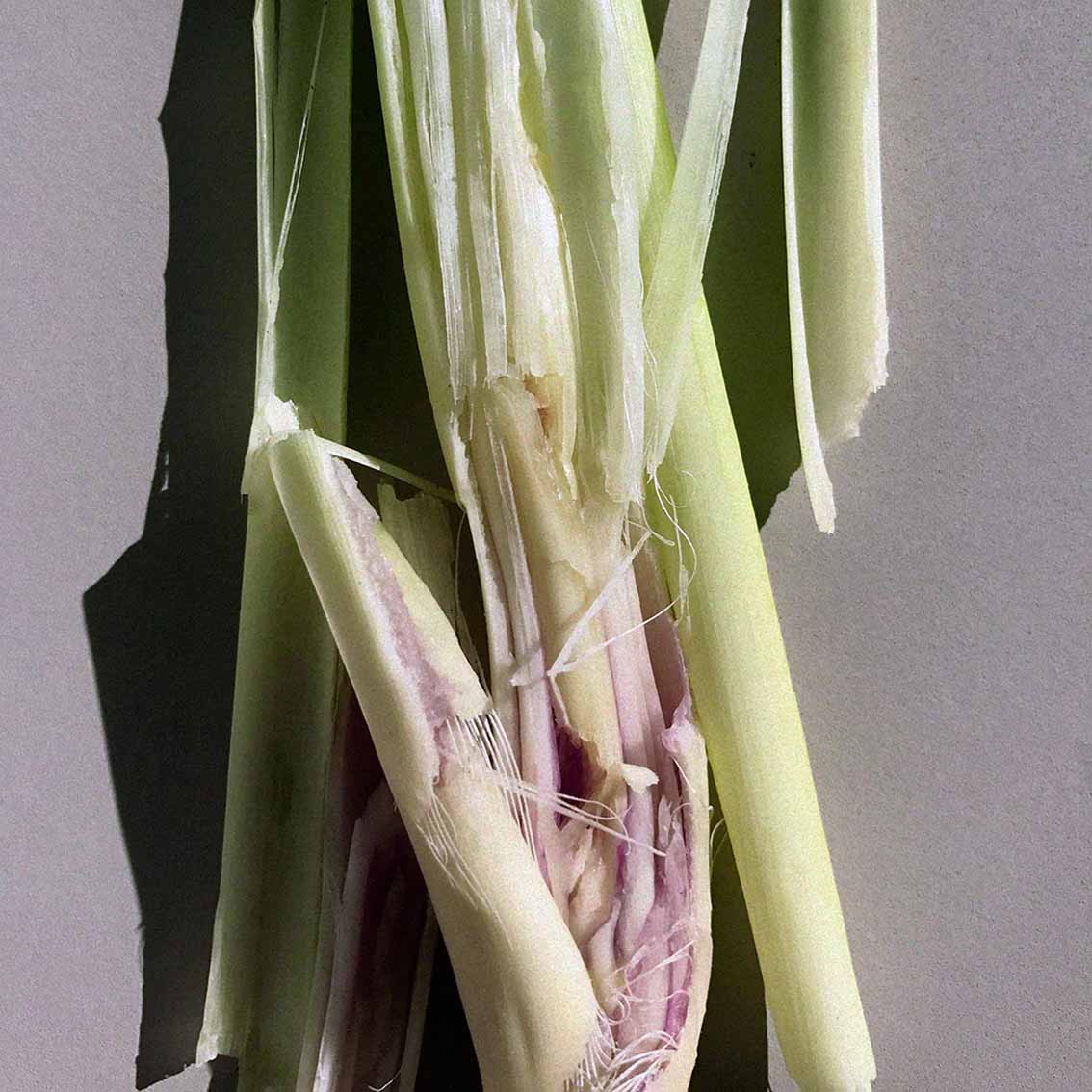 159 Hand Cream Lemongrass - L:A Bruket - Image 3