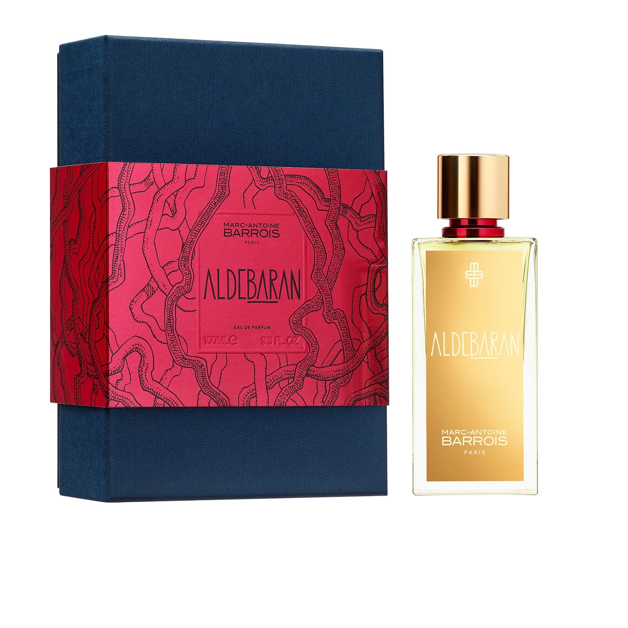 Aldebaran - Marc-Antoine Barrois - Image 3