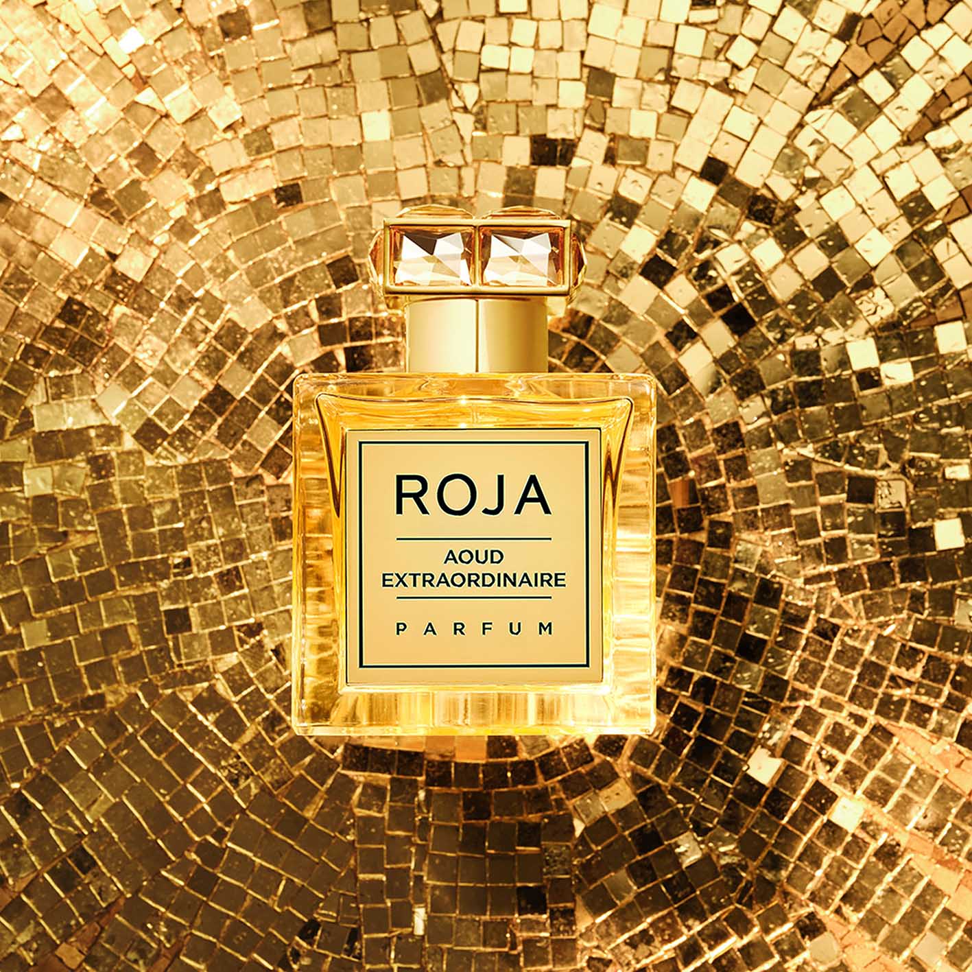 Aoud Extraordinaire Parfum - Roja Parfums - Image 5