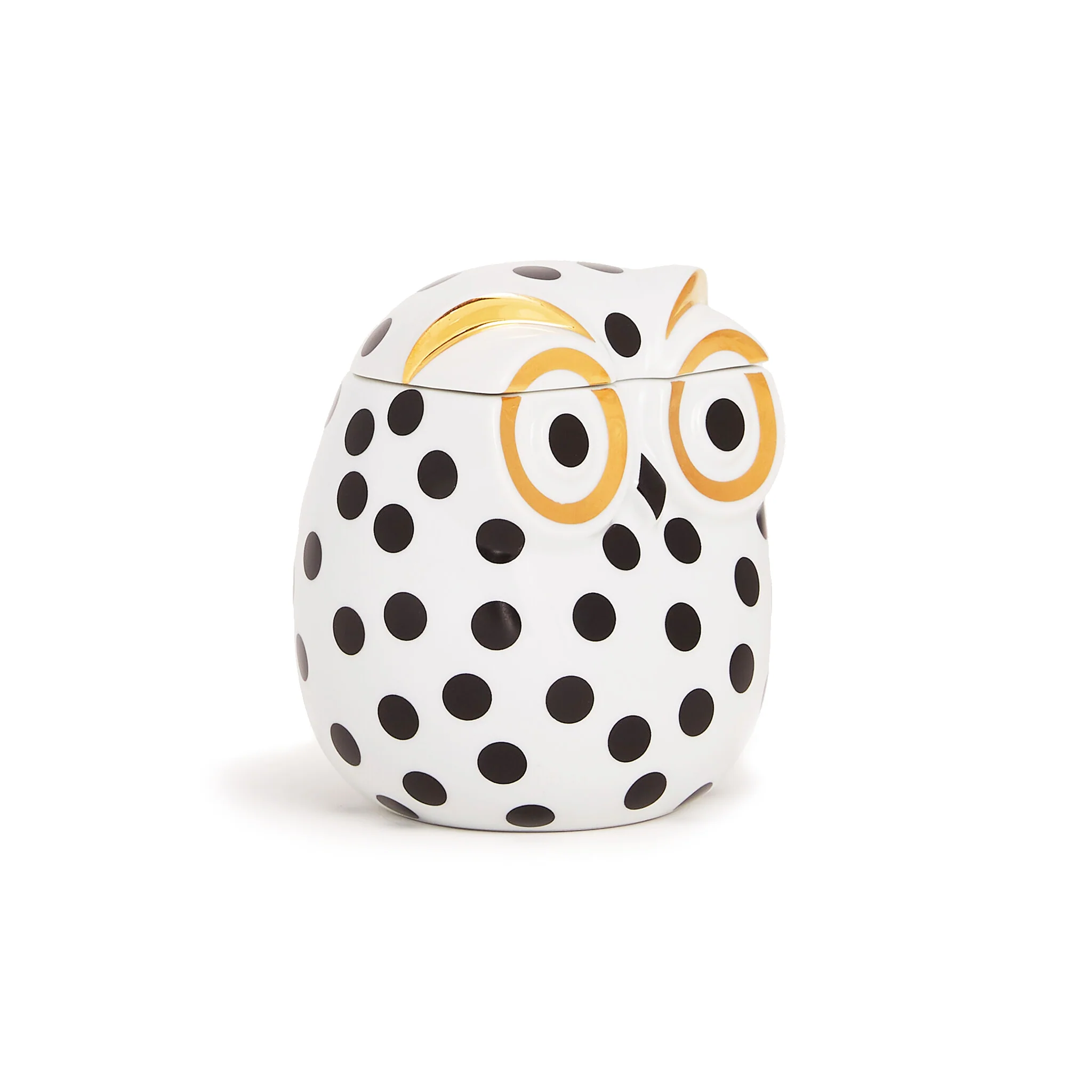 Barattolo Civetta Impallinata - Fornasetti - Image 2
