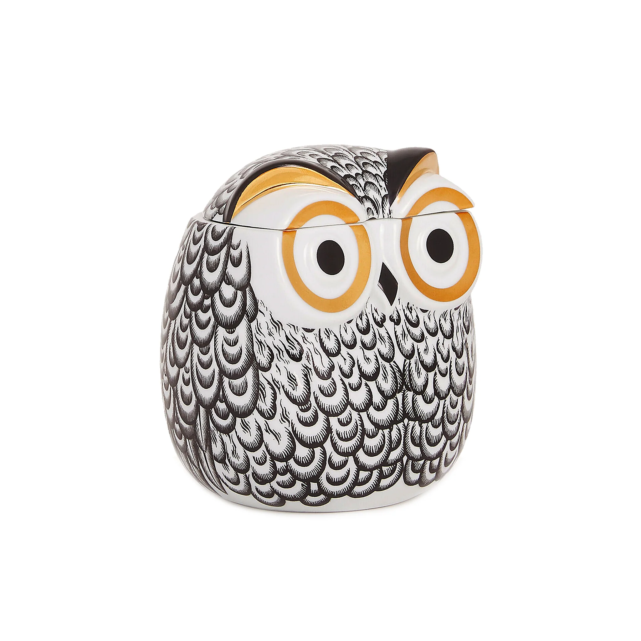 Barattolo Civetta Piumata - Fornasetti - Image 2