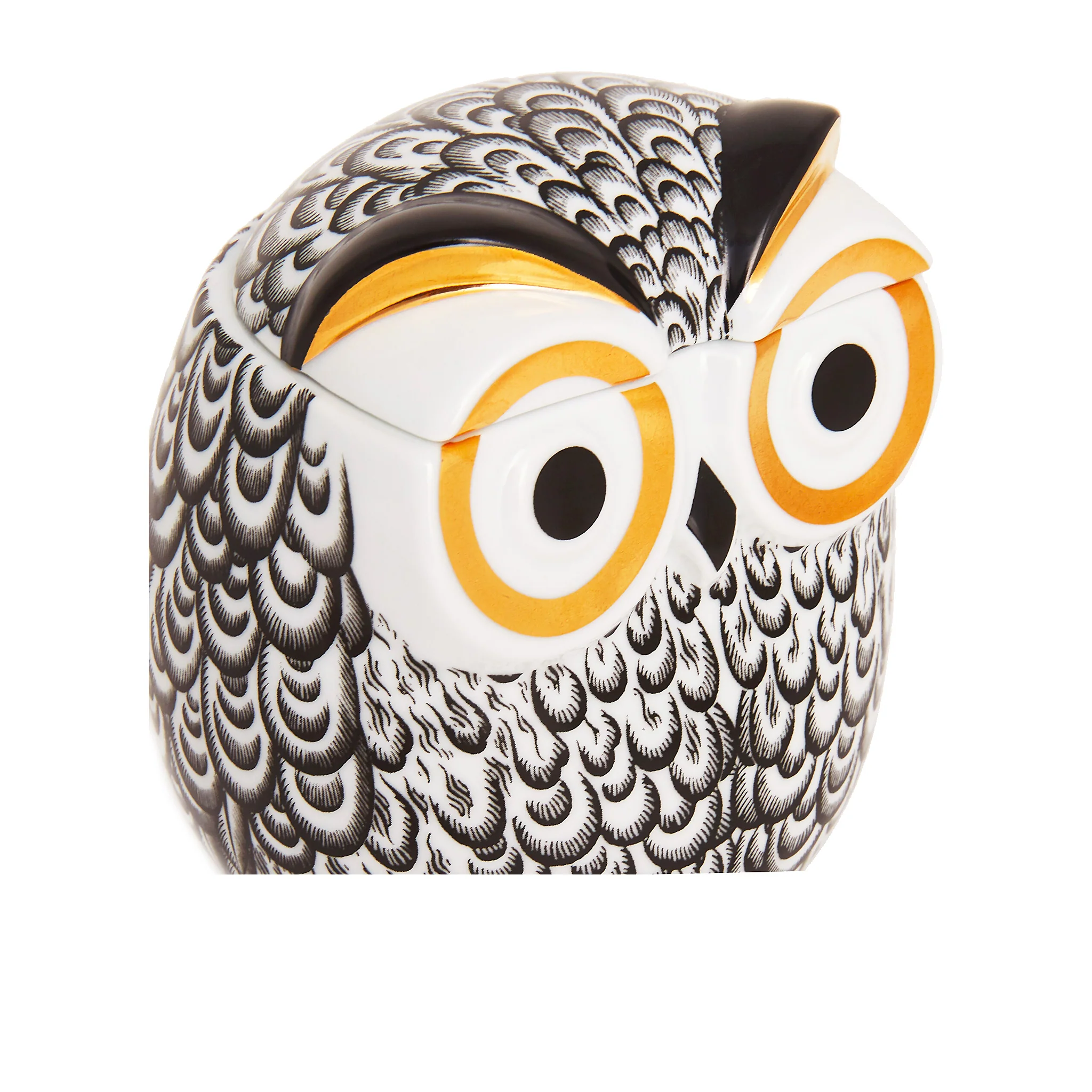 Barattolo Civetta Piumata - Fornasetti - Image 3