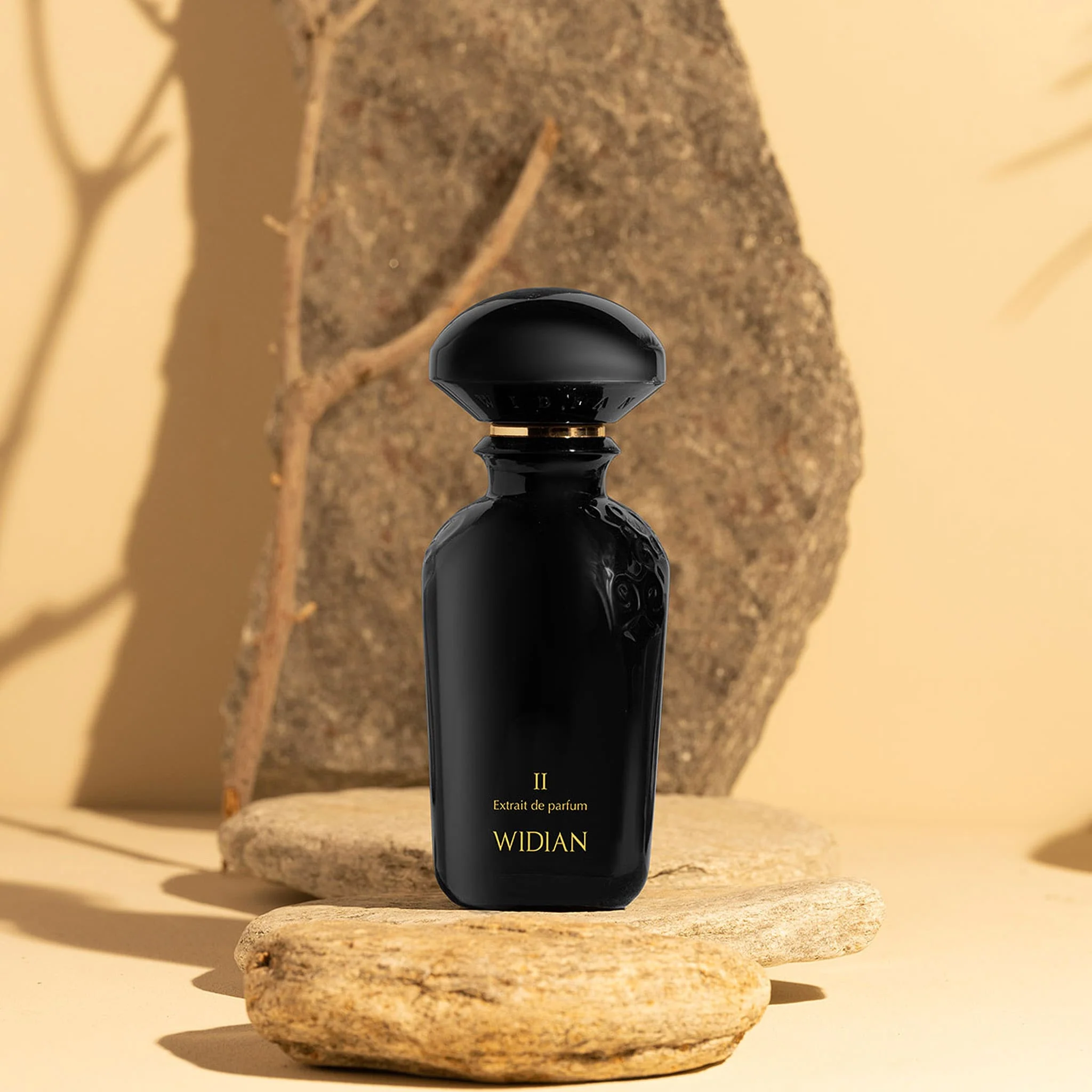 Black II - Widian by AJ Arabia - Image 4