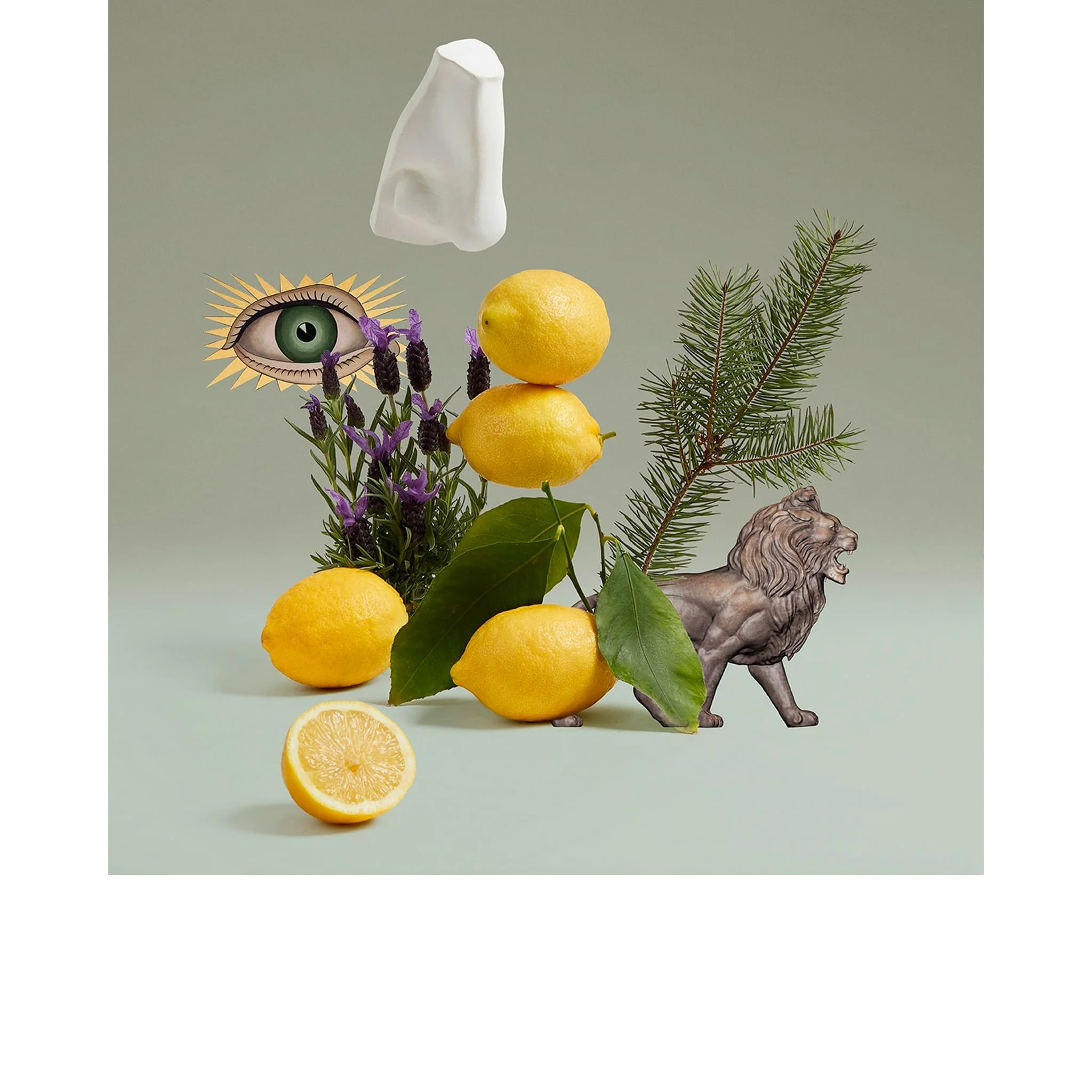 Blenheim Bouquet Edt - Penhaligon's - Image 3