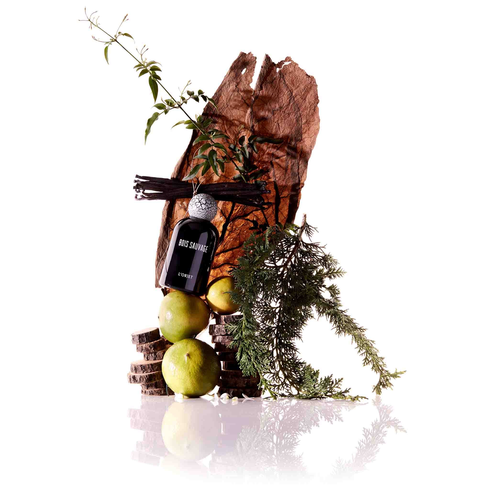 Bois Sauvage EDP - L'Objet - Image 3