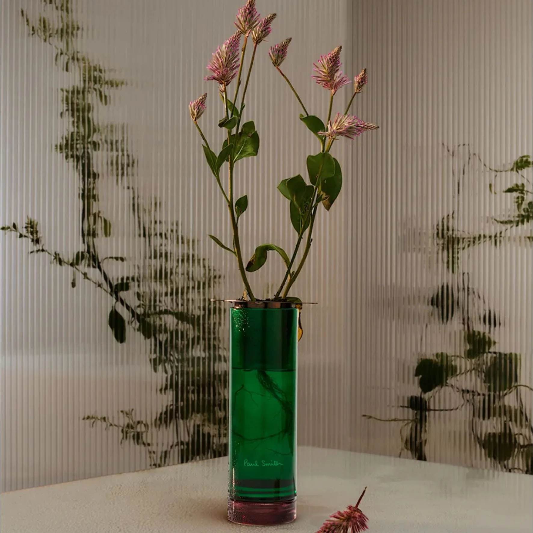 Botanist Diffuser - Paul Smith - Image 2