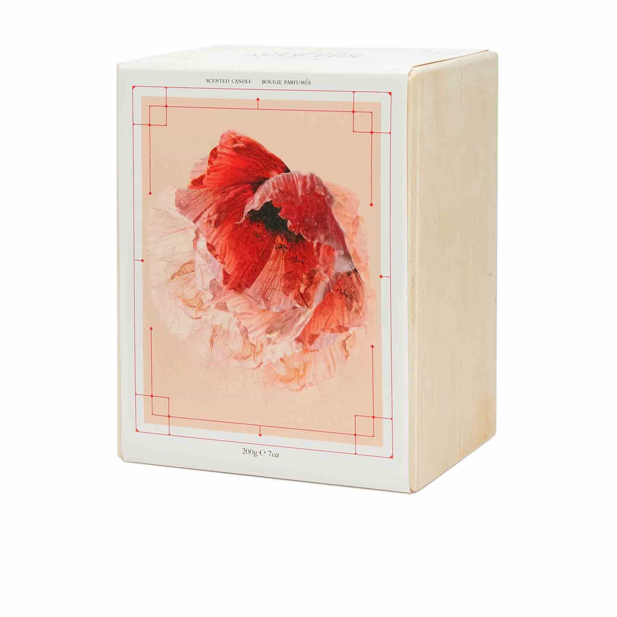 Candela Pagan Rose in Nero - Alexander McQueen - Image 4