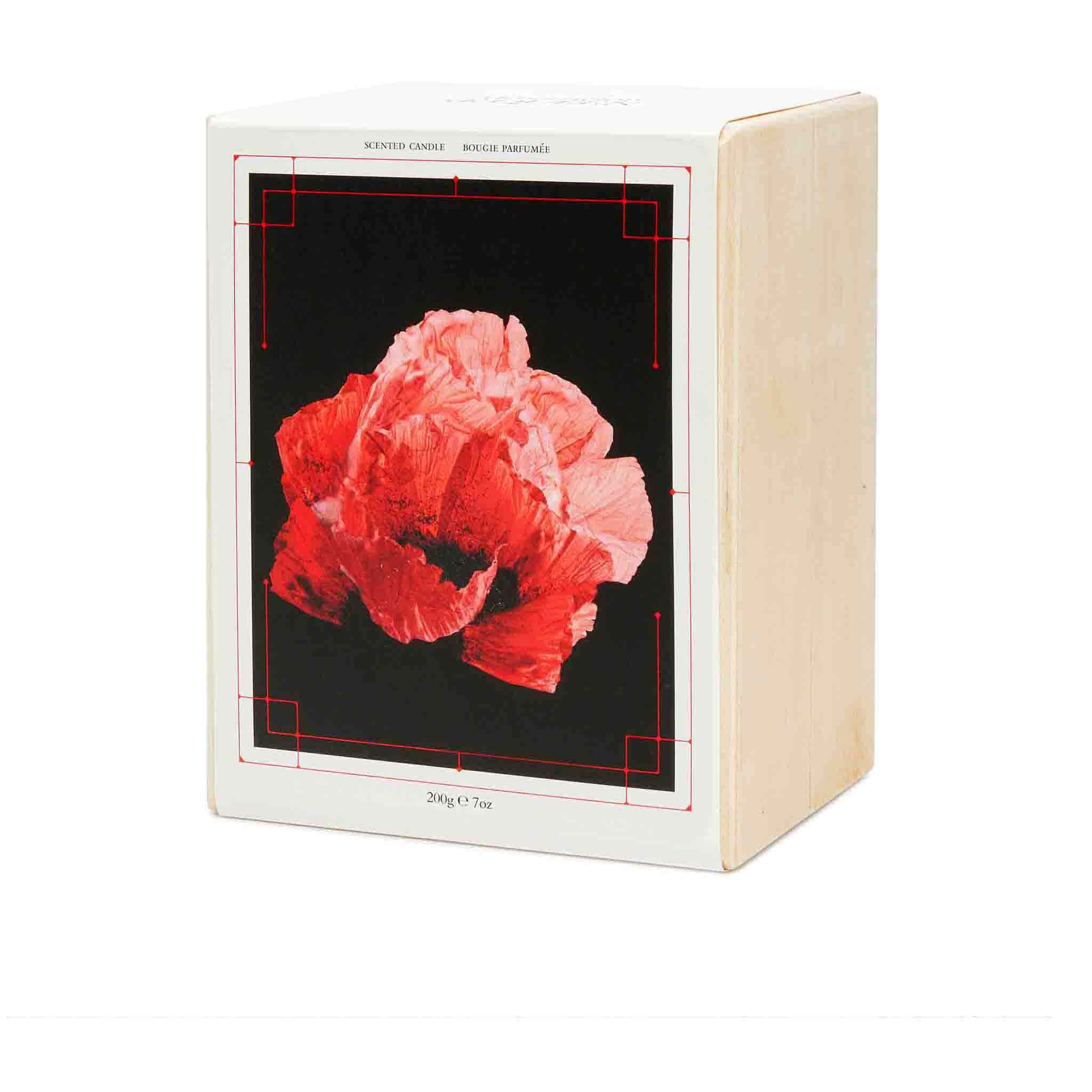 Candela Savage Bloom in Nero - Alexander McQueen - Image 4