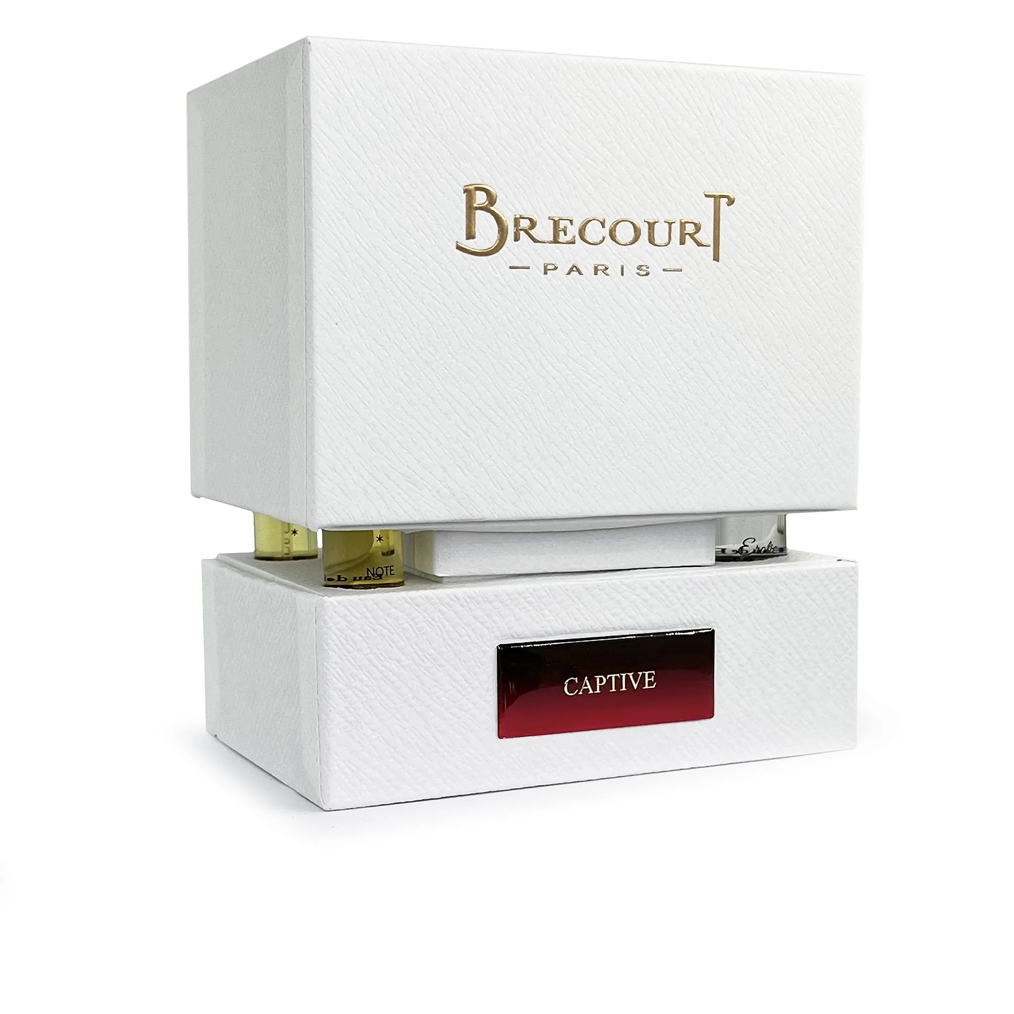 Captive - Brecourt - Image 3