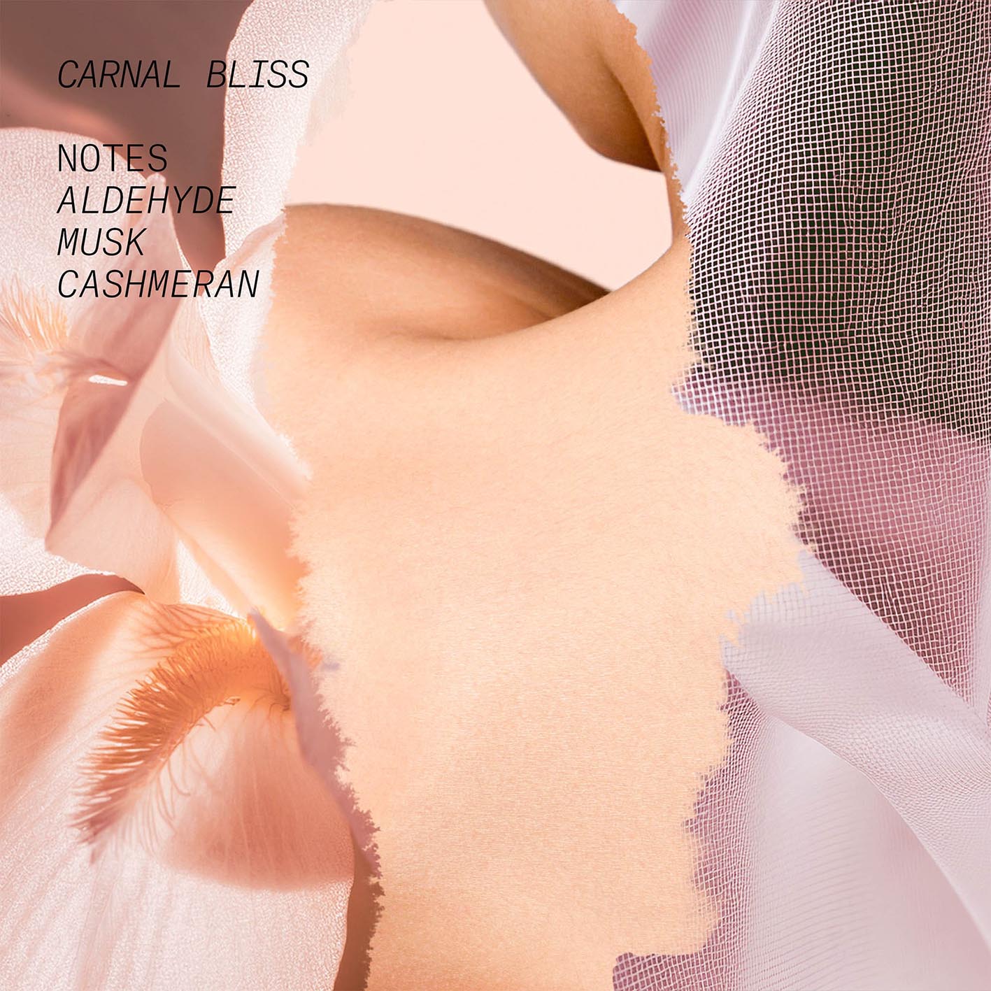 Carnal Bliss - L'Atelier Parfum - Image 3