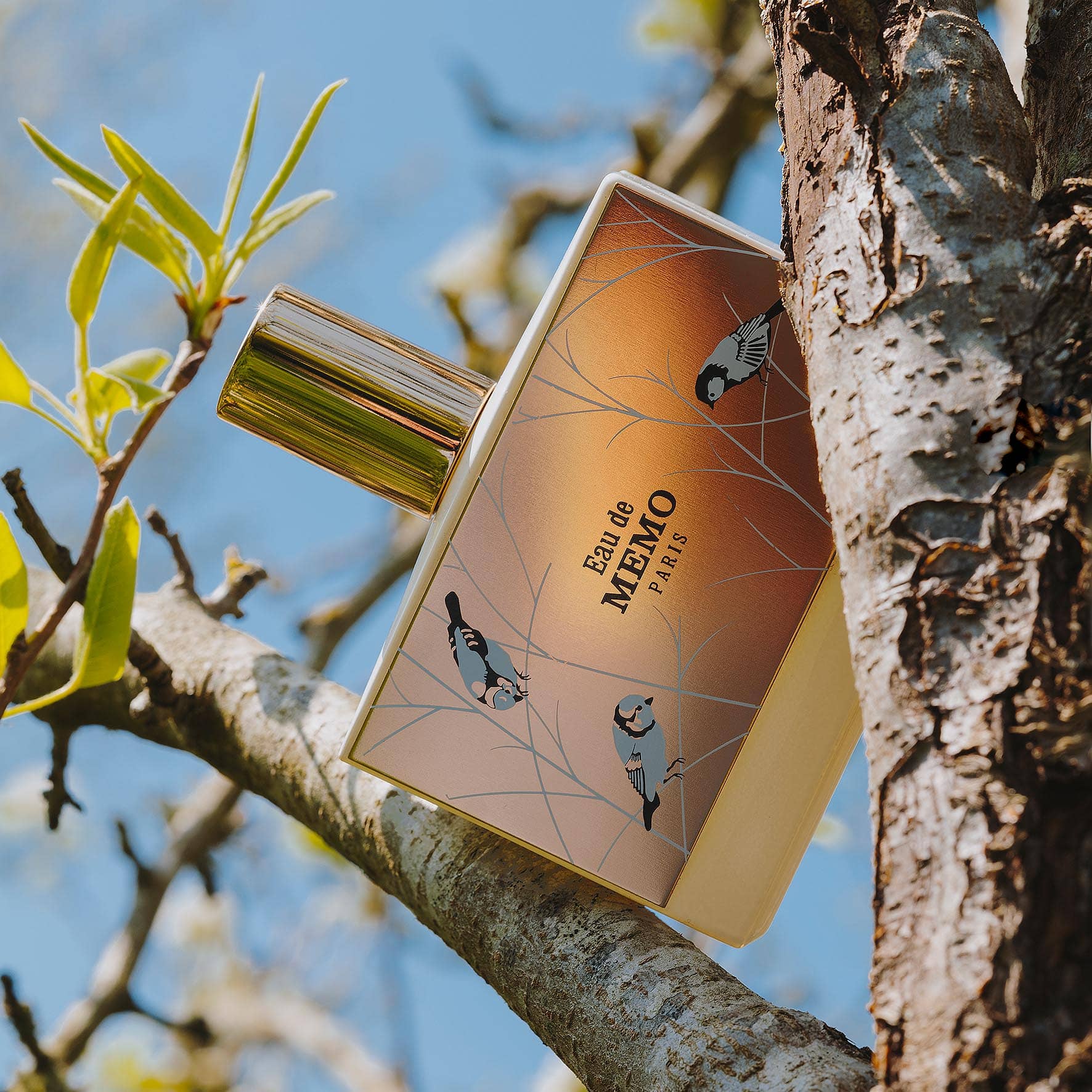 Eau De Memo - Memo Paris - Image 3