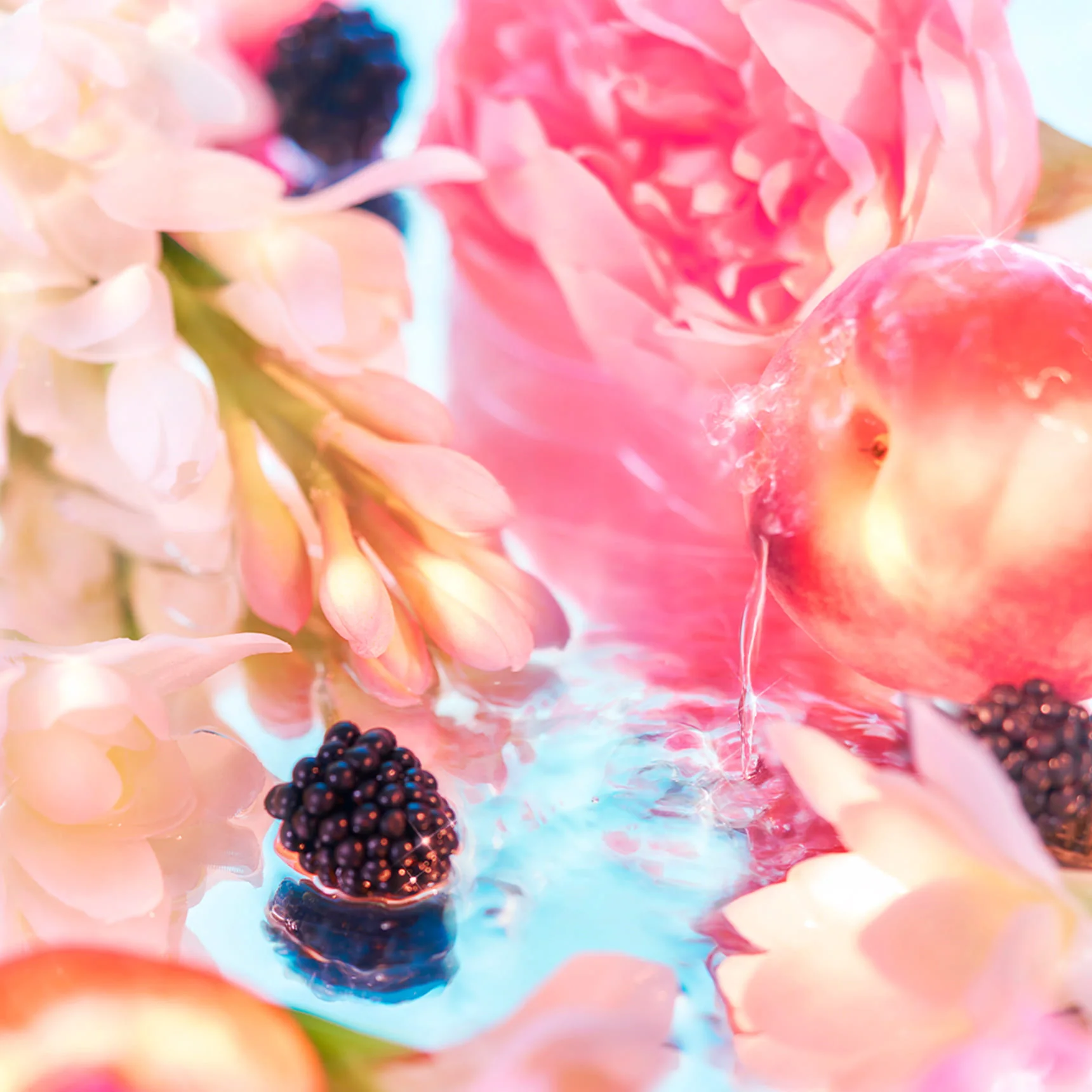 Elysium Pour Femme Parfum - Roja Parfums - Image 4