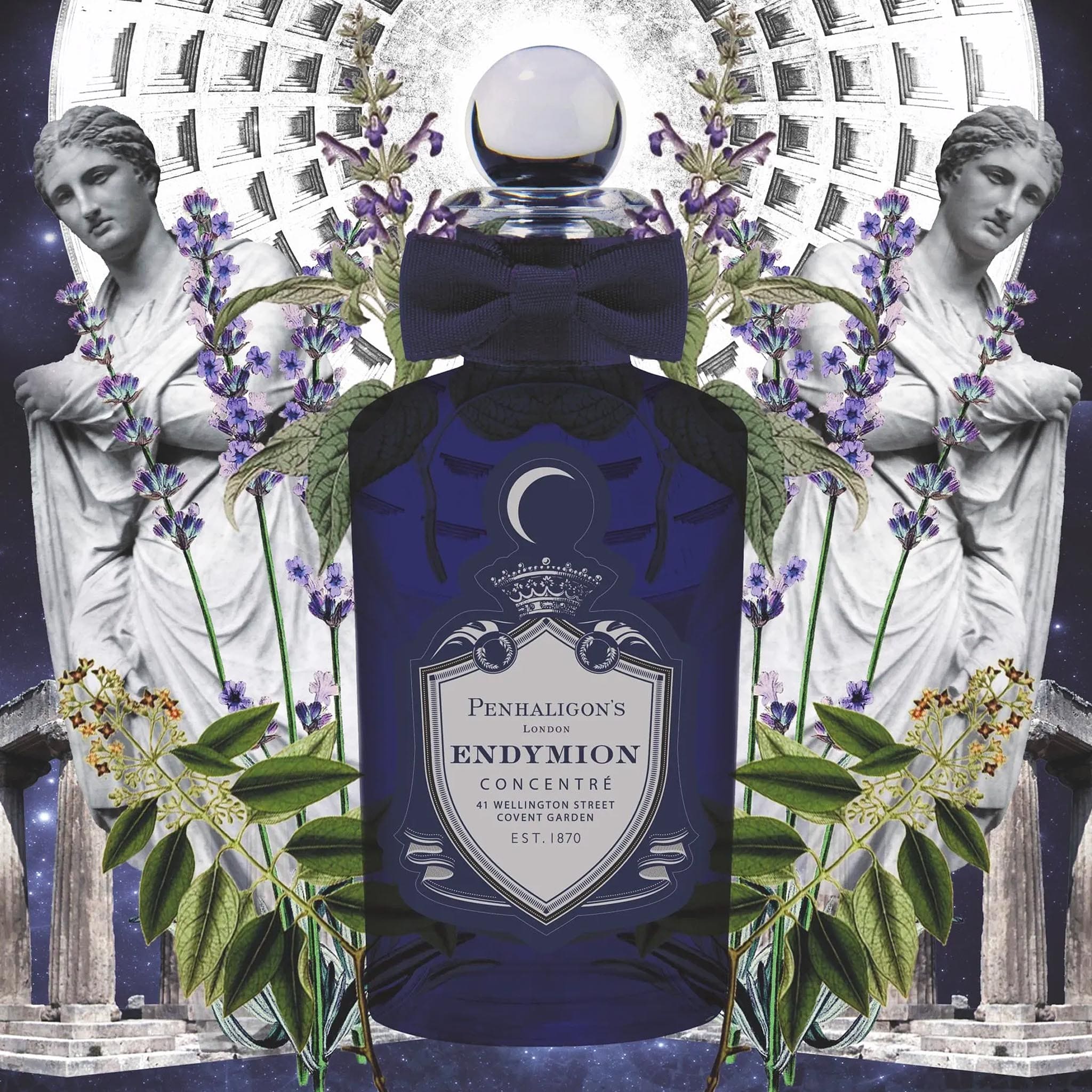 Endymion Concentré - Penhaligon's - Image 3