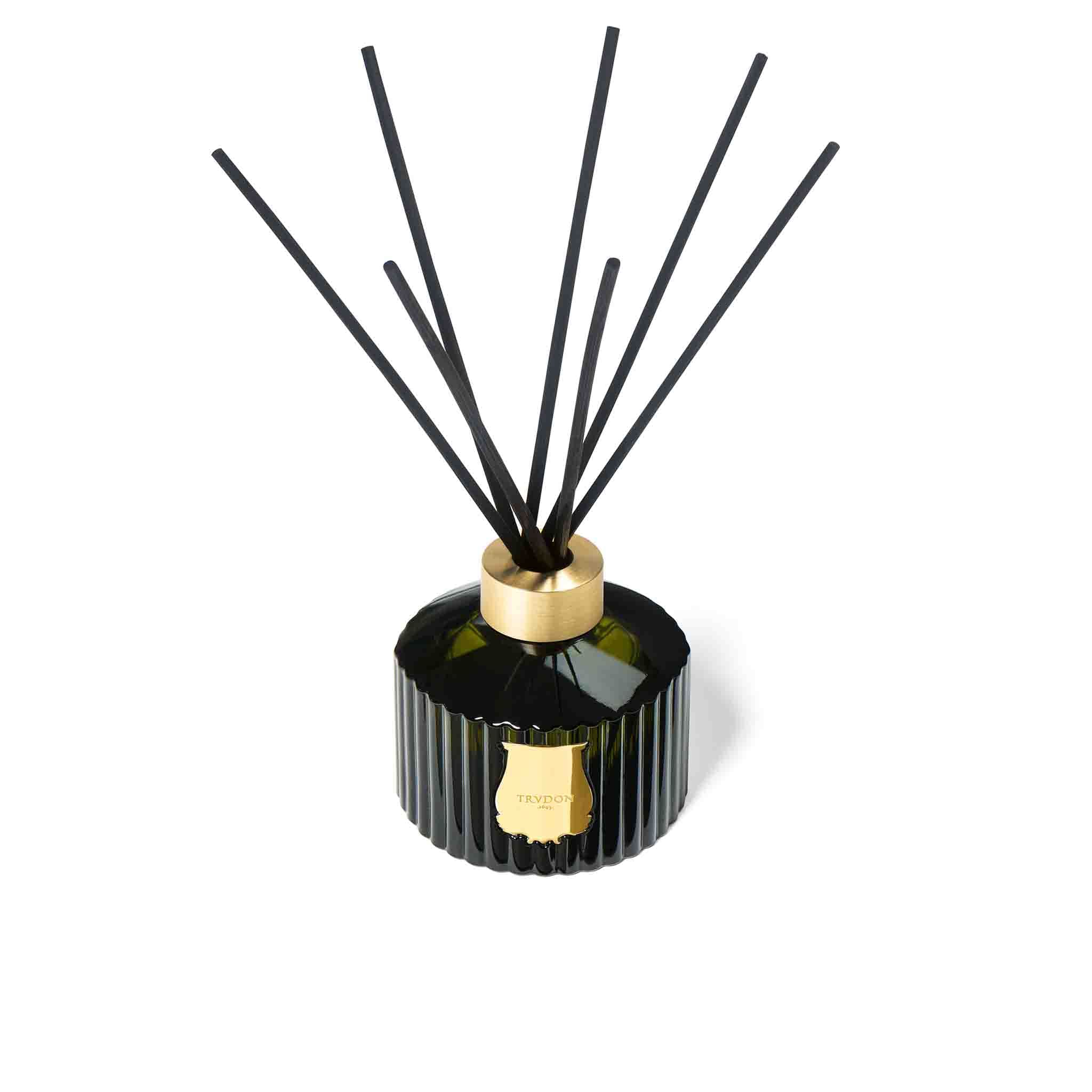 Ernesto The Great Diffuser - Trudon