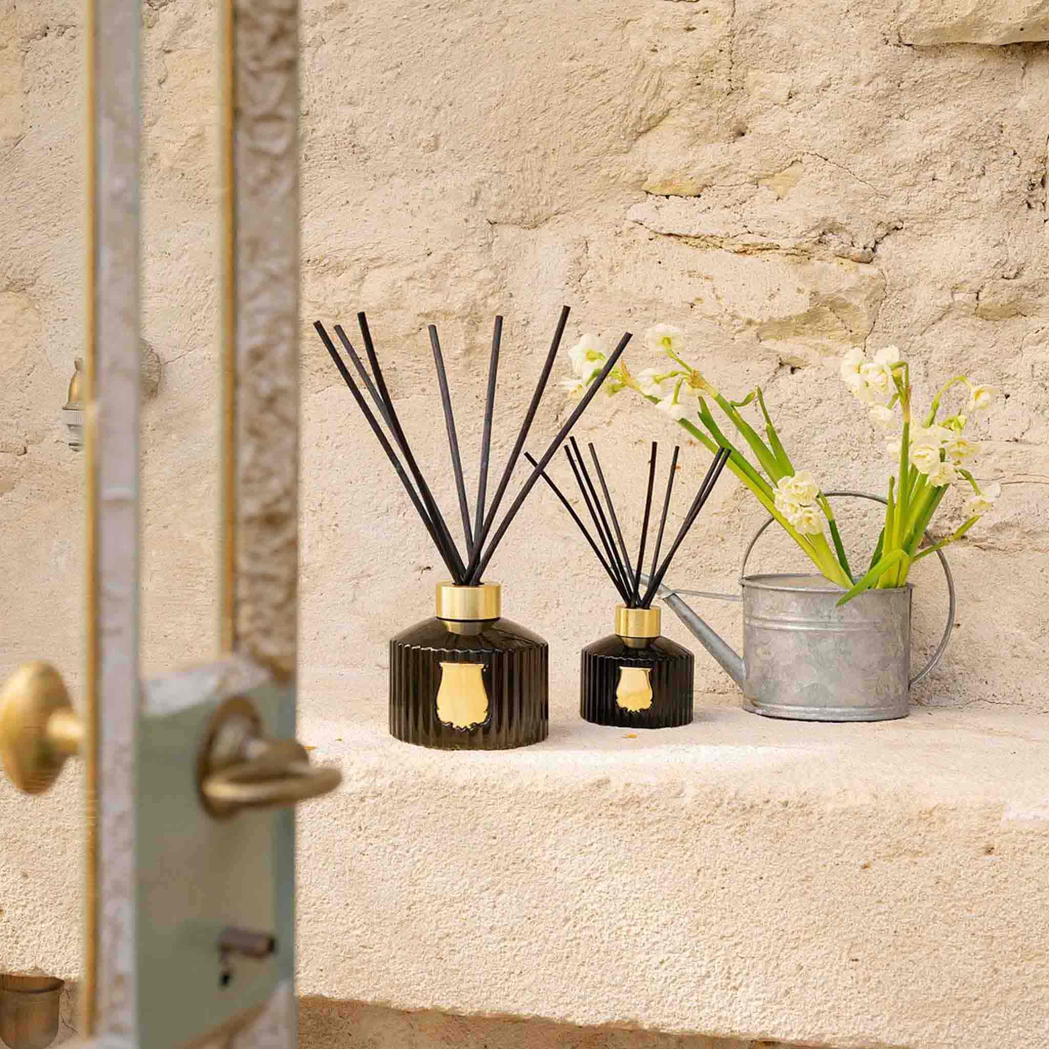 Ernesto The Great Diffuser - Trudon - Image 2