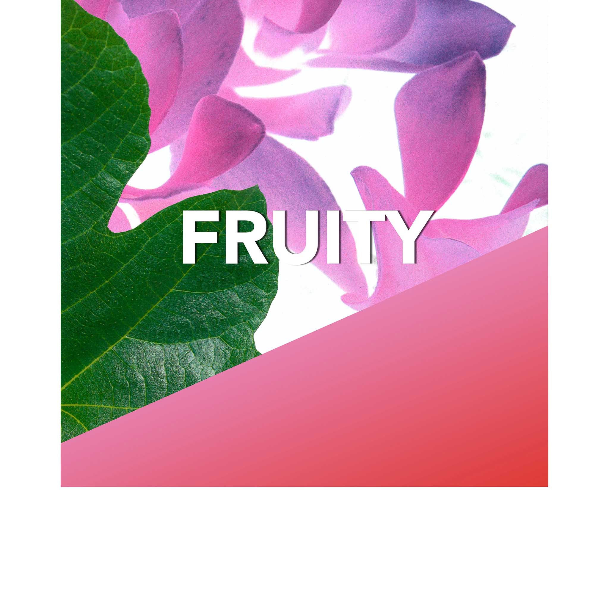 Figfever - Hermetica Paris - Image 3