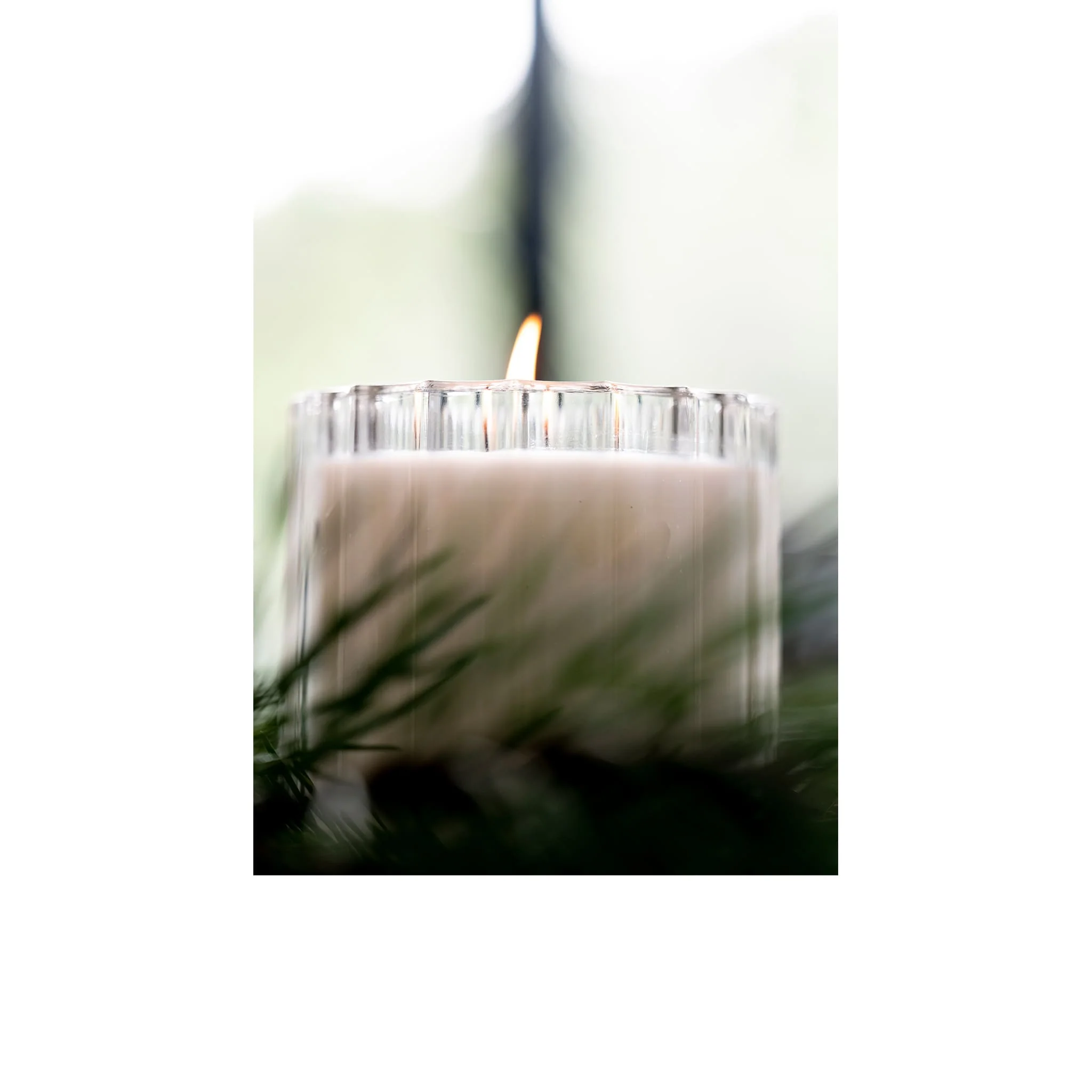 Leather bookbinding Candela - Anomalia Paris - Image 3