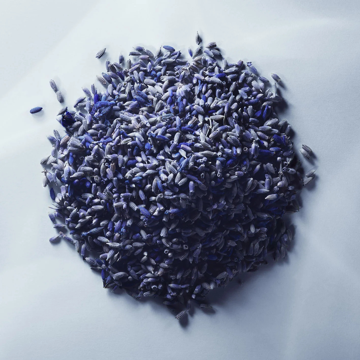 Metal Lavender - Matiere Premiere - Image 8