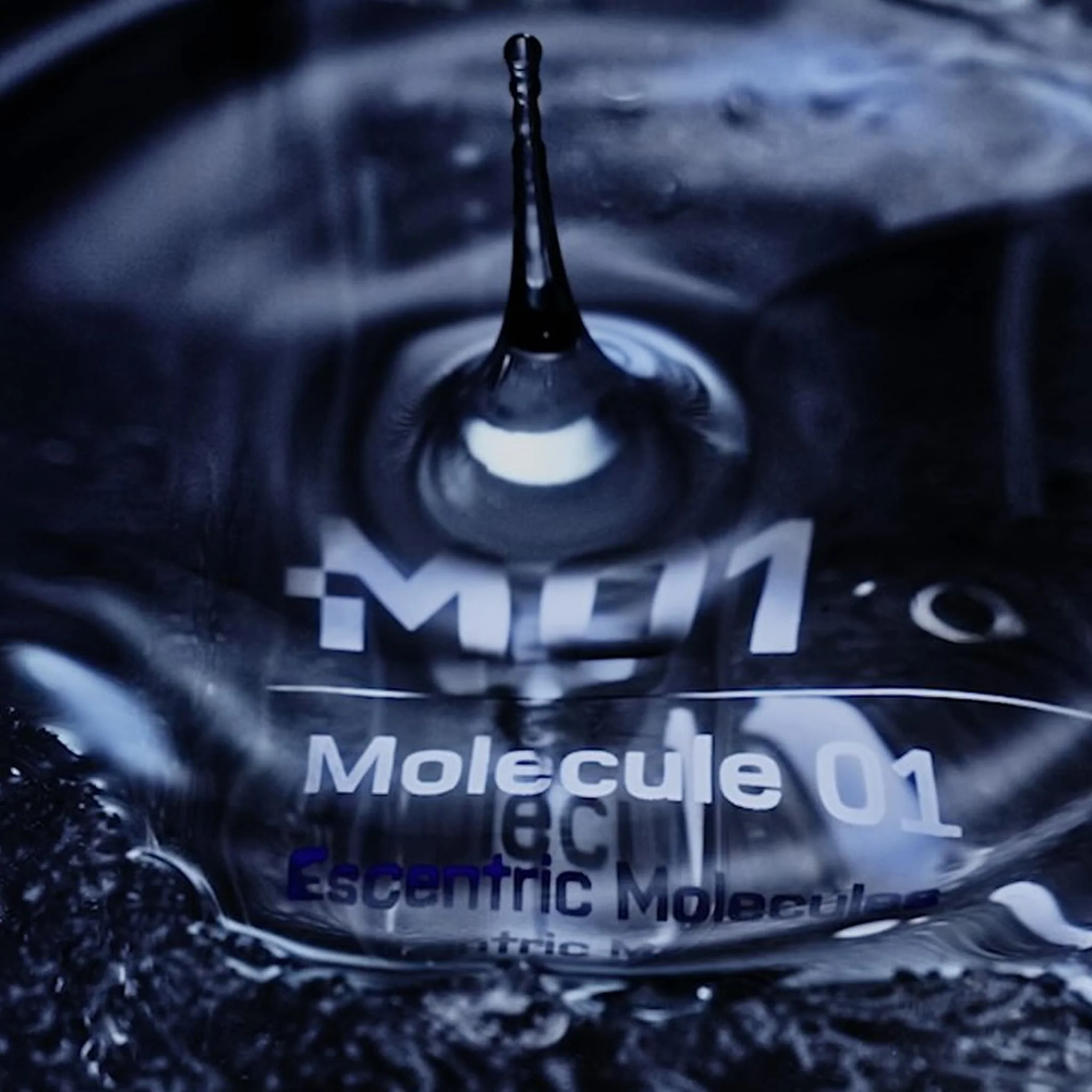 Molecule 01 - Escentric Molecules - Image 6