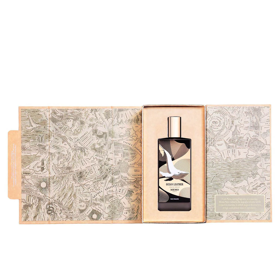 Ocean Leather - Memo Paris - Image 3