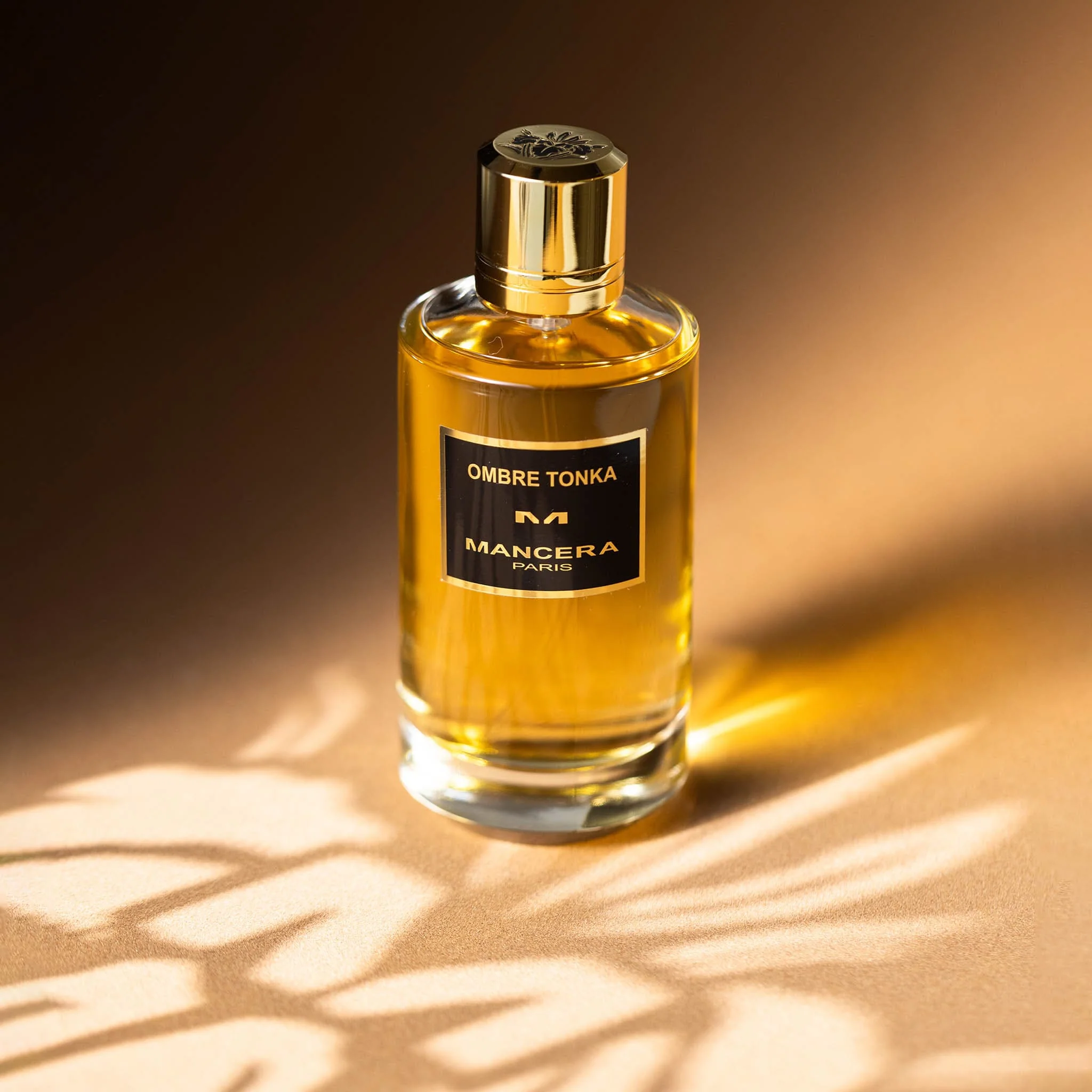 Ombre Tonka - Mancera - Image 2