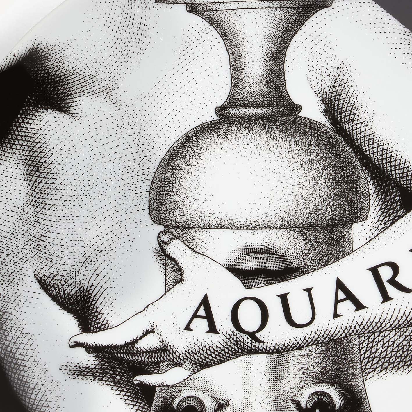 Piatto Zodiaco Aquario Tema e Variazioni N. 358 - Fornasetti - Image 3