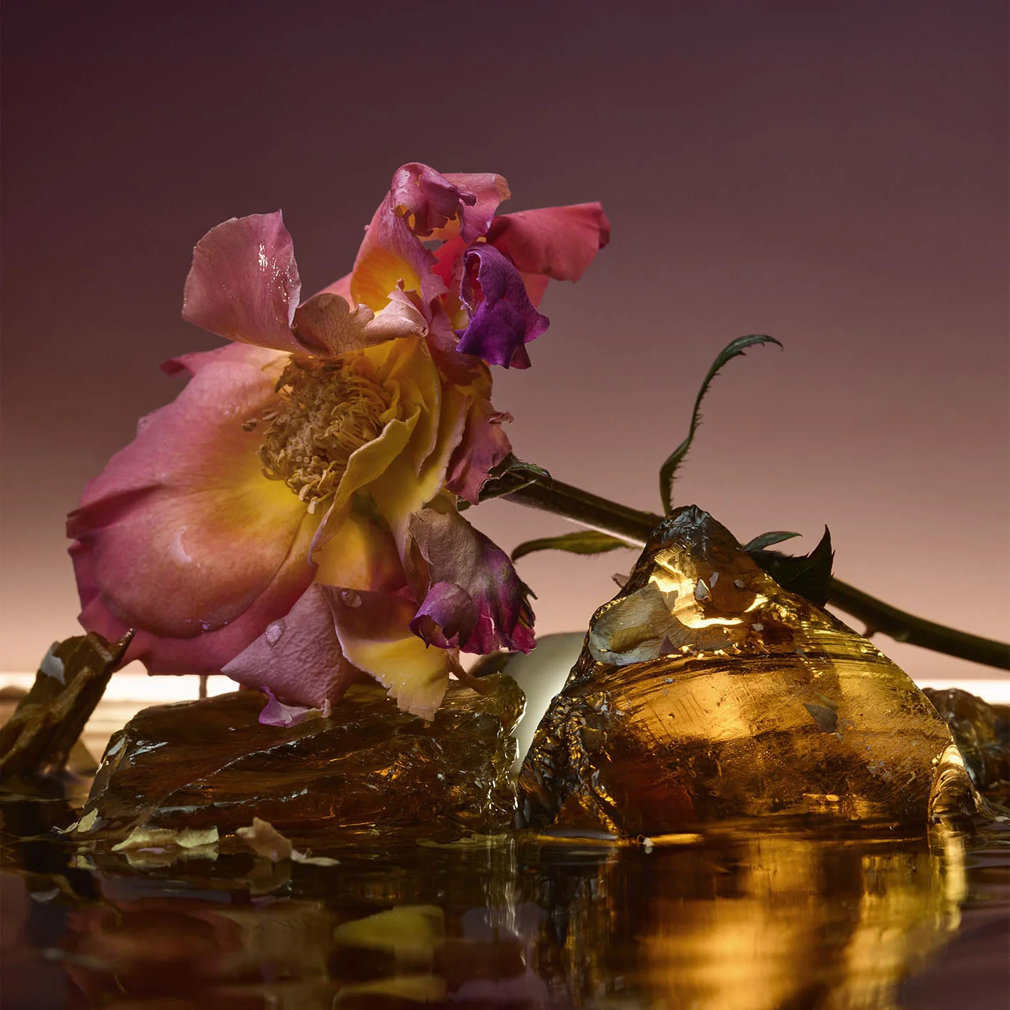 Rose Blaze Extrait de Parfum - D'Orsay - Image 4