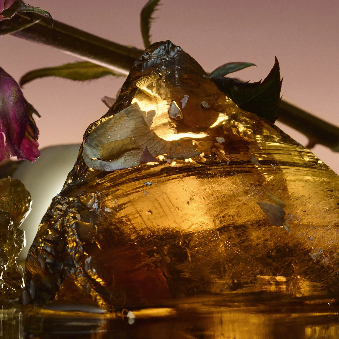 Rose Blaze Extrait de Parfum - D'Orsay - Image 7