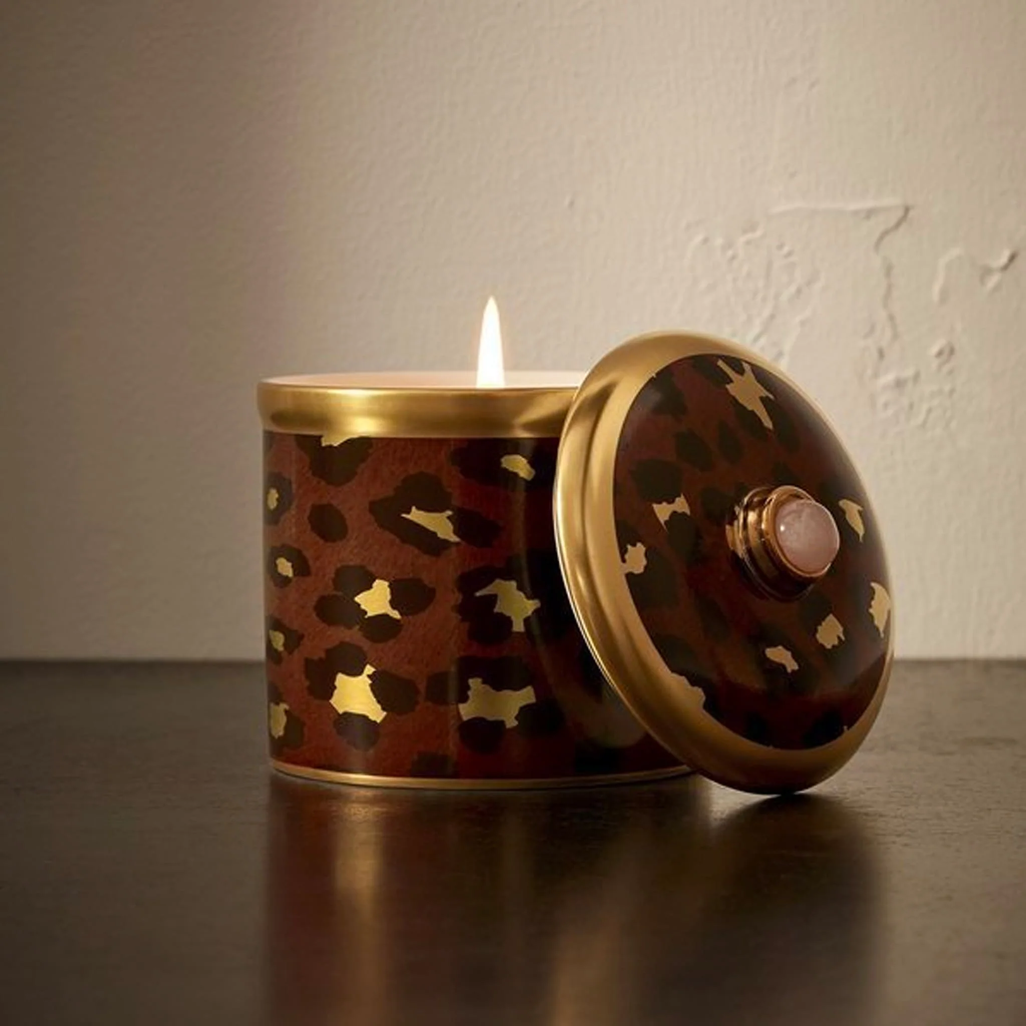 Safari - L'Objet - Image 3