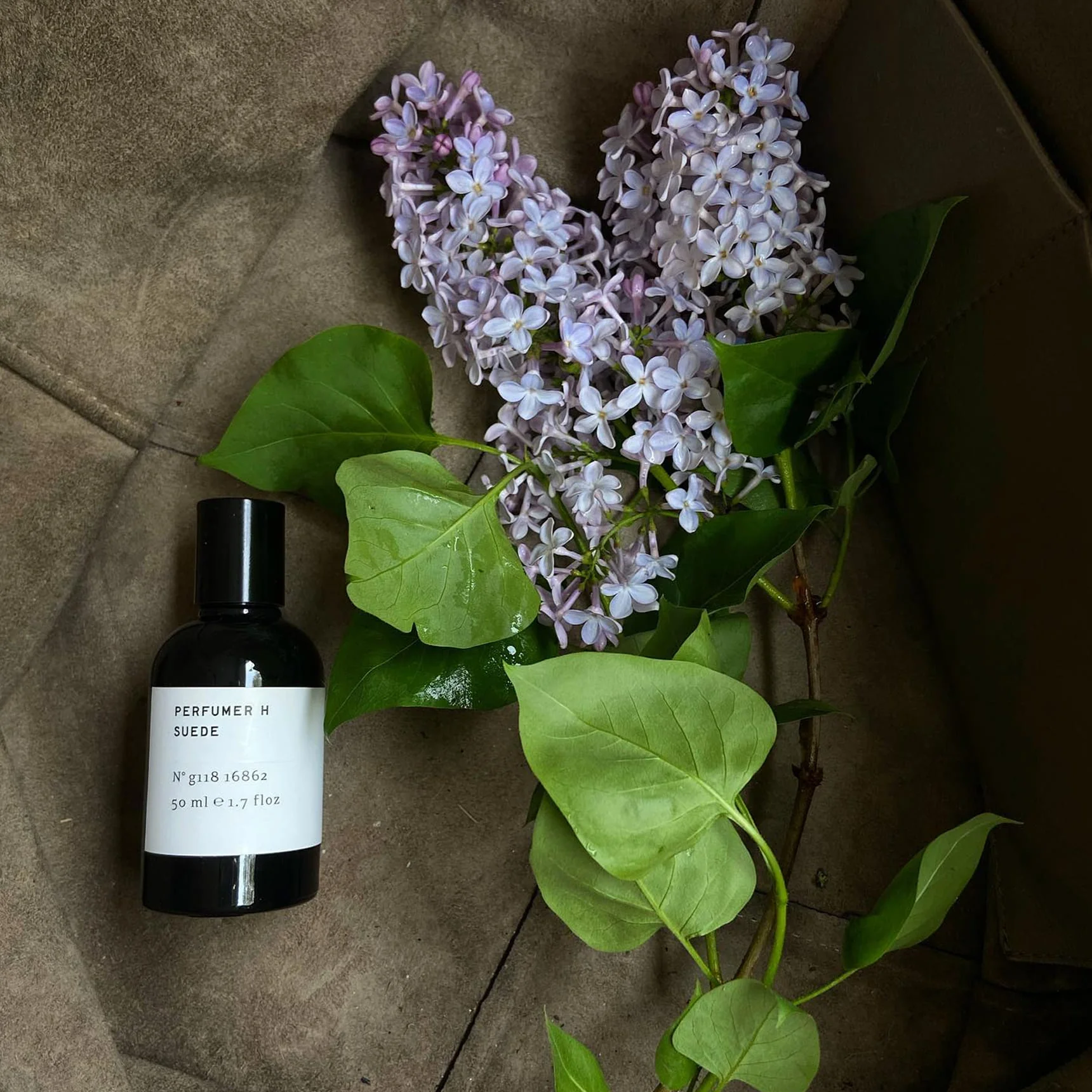 Suede - Perfumer H - Image 3