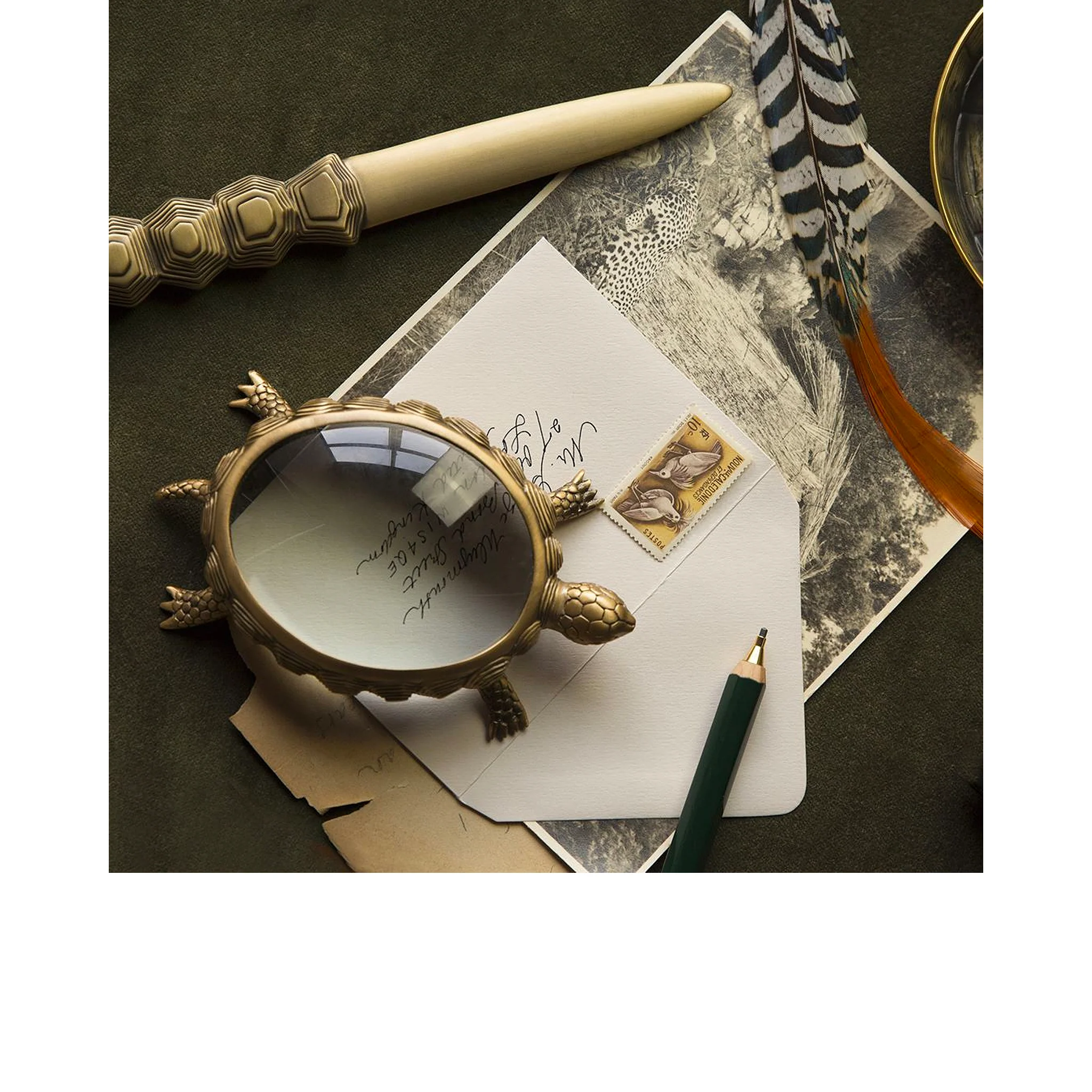 Turtle Letter Opener - L'Objet - Image 3