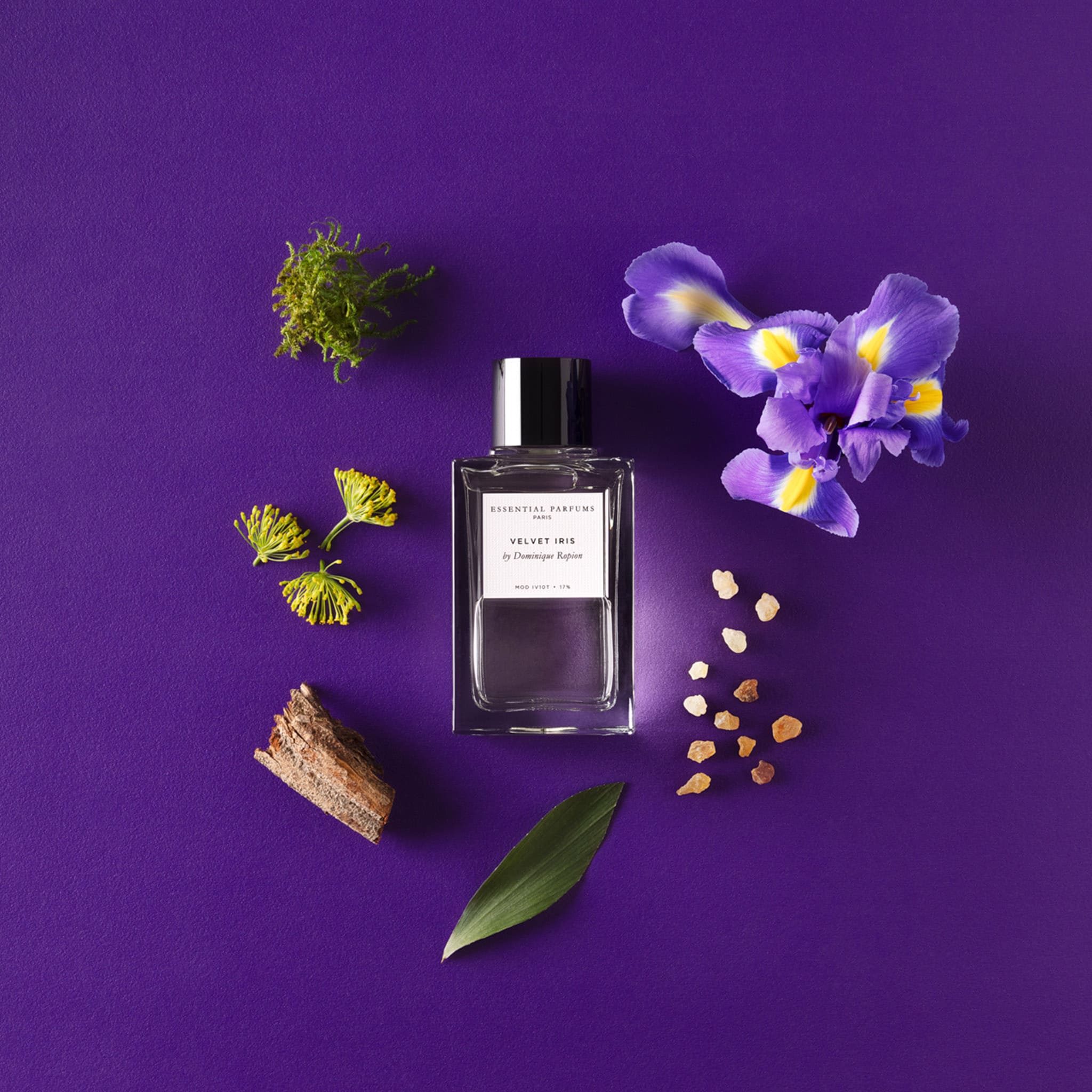 Velvet Iris Eau de Parfum - Essential Parfums - Image 4