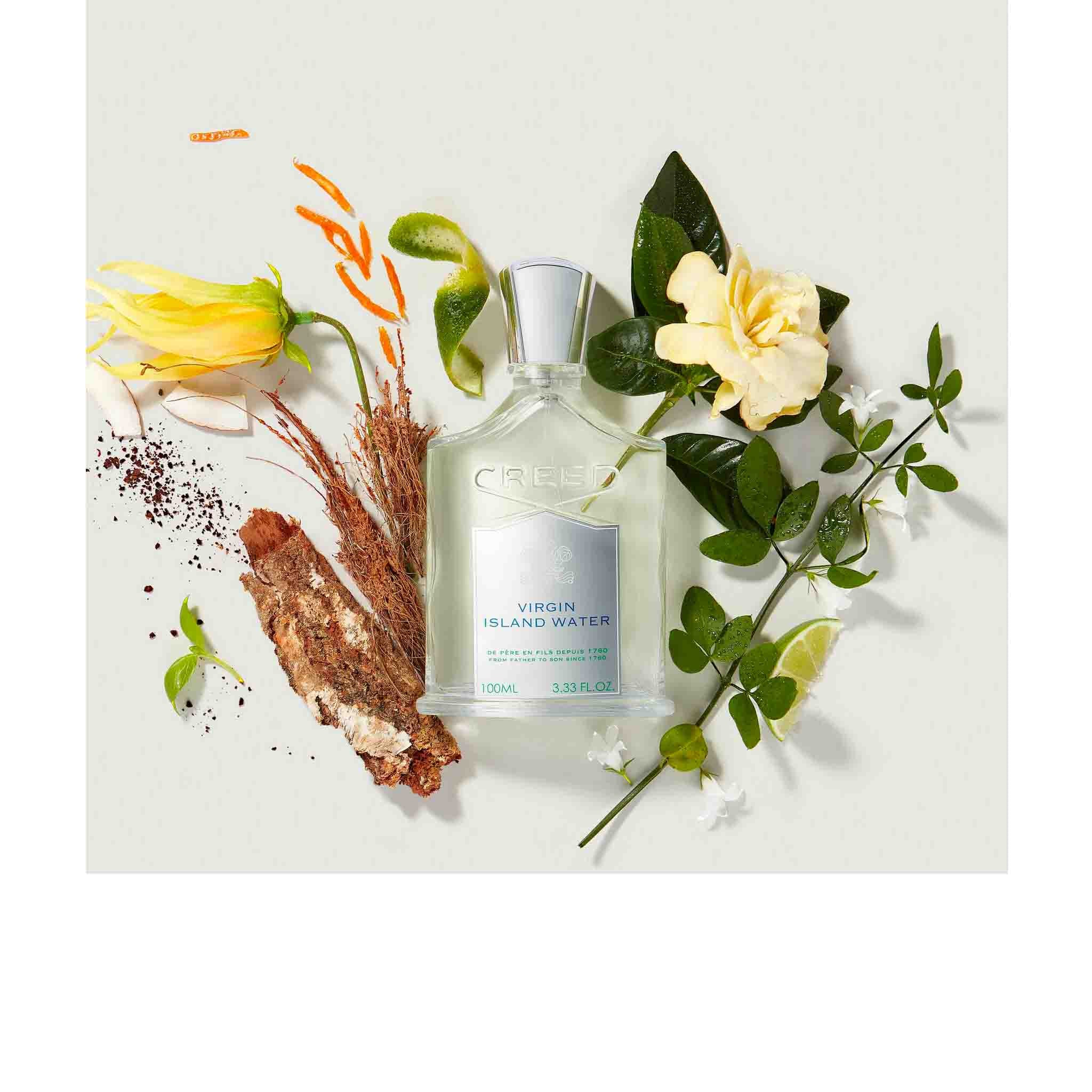 Virgin Island Water - Creed - Image 2